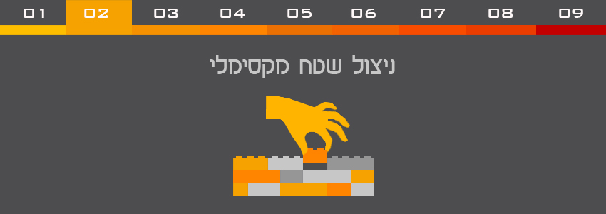 אינפו-2-ניצול-שטח-מקסימלי1